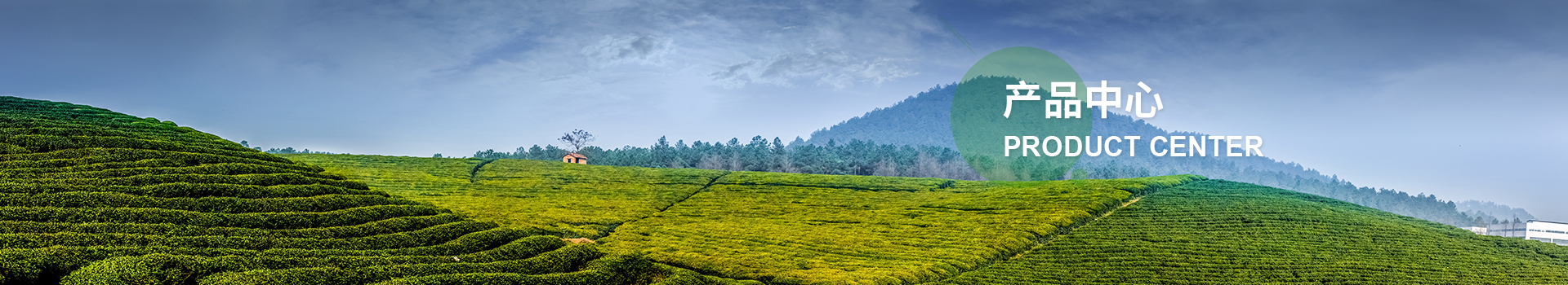 华体会体育网站国米的赞助商 华体会体育网站国米的赞助商
